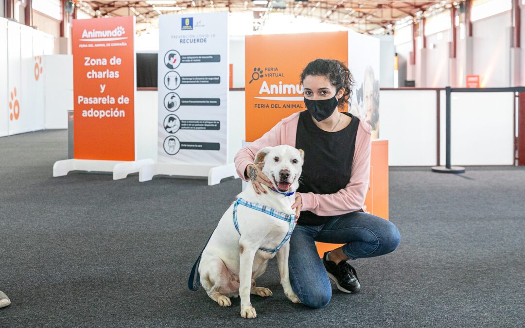 La segunda jornada de Animundo ofrece información médica importante para los animales de compañía y nuevas familias para los perros del Albergue Insular