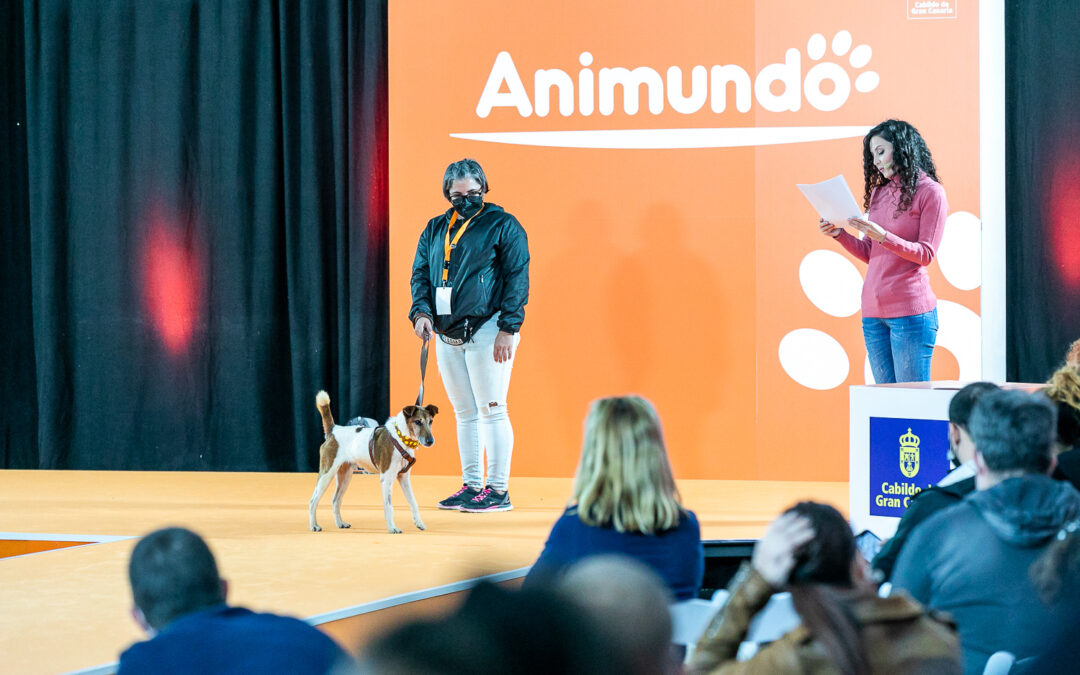 La cuarta edición de Animundo cierra sus puertas con cerca de 3.000 visitantes y 27 perros adoptados