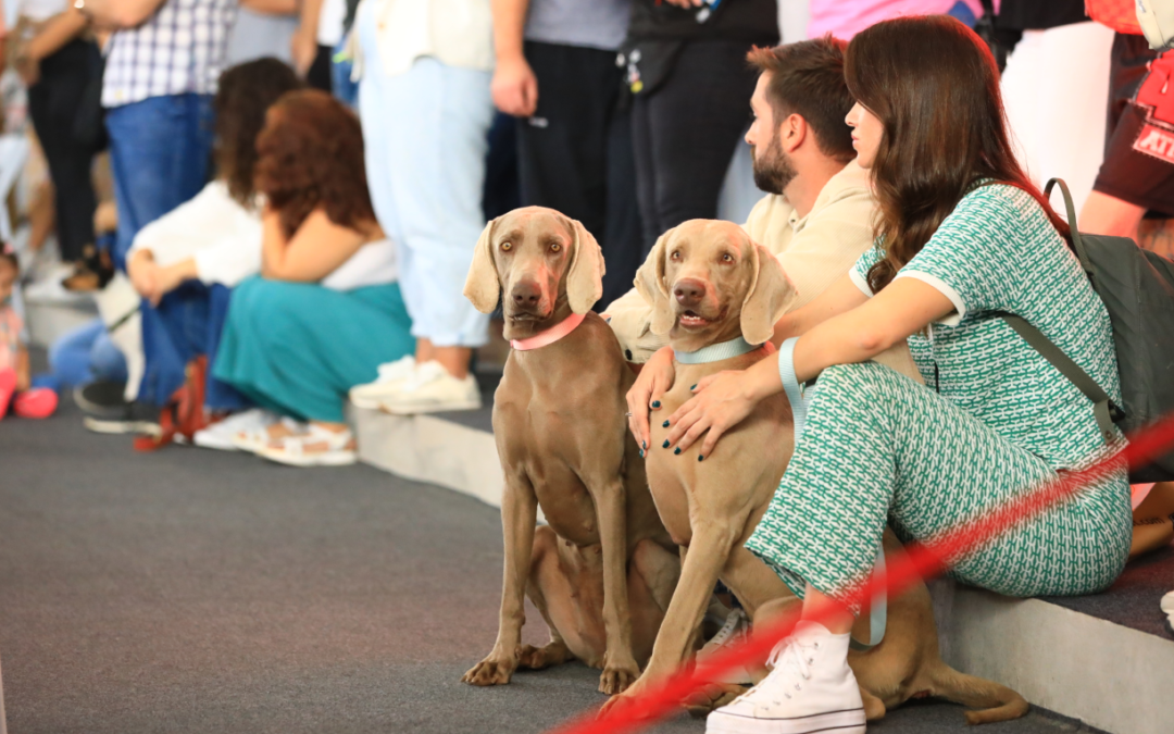 Animundo despide su quinta edición haciendo hincapié en la tenencia responsable de animales de compañía