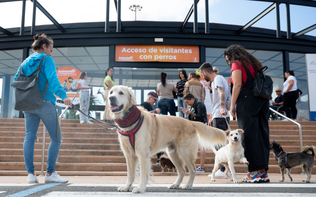 La concienciación, el respeto y el bienestar para los animales de compañía protagonizan la quinta edición de Animundo