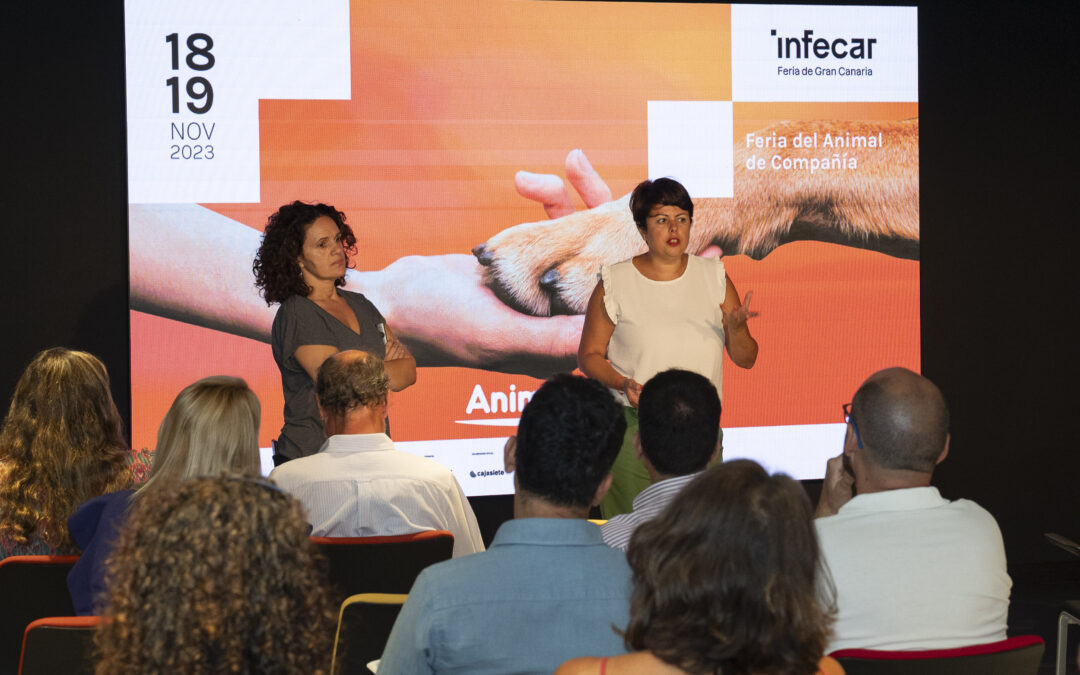 Animundo prepara su sexta edición con la colaboración de los ayuntamientos de la isla