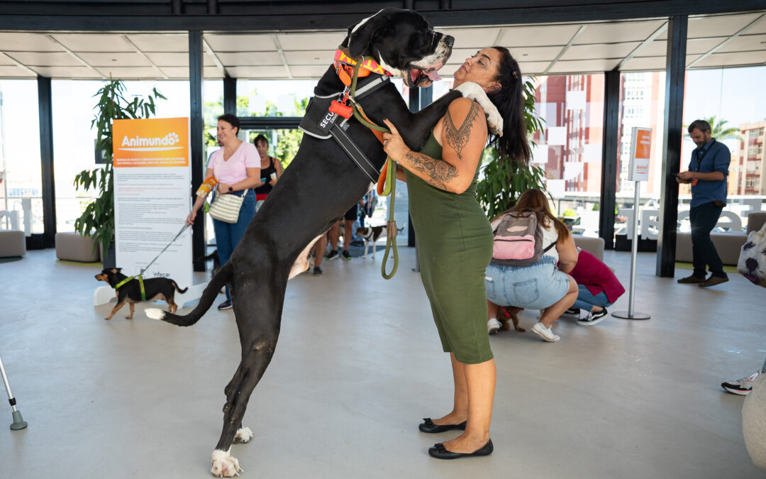 El amor por los animales desborda la primera jornada de Animundo