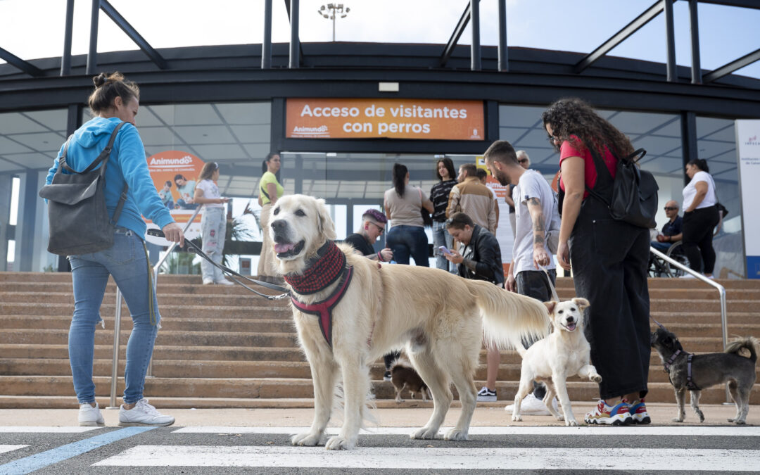 La Feria del Animal de Compañía, Animundo, regresa a Infecar los días 18 y 19 de noviembre