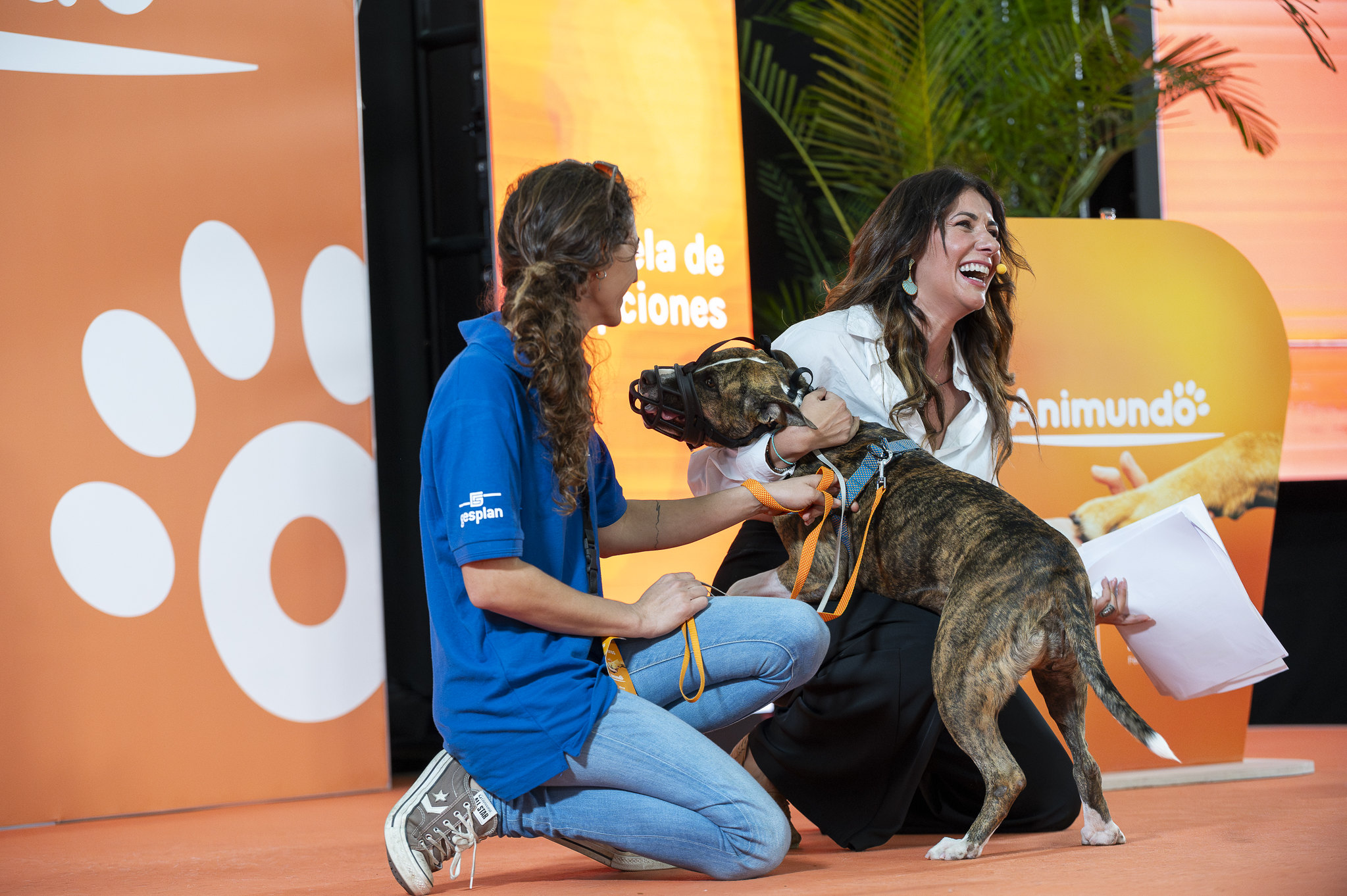 Imagen de la pasarela de adopción de Animundo 2023 con la presencia de Eloísa González