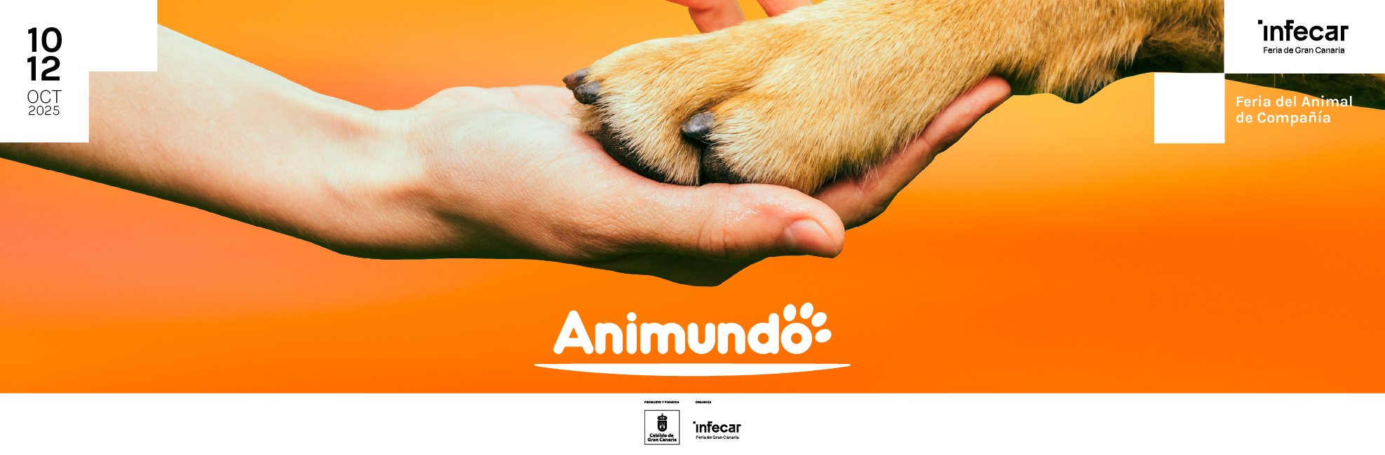 ANIMUNDO 2025_OK WEB ANIMUNDO 570X800