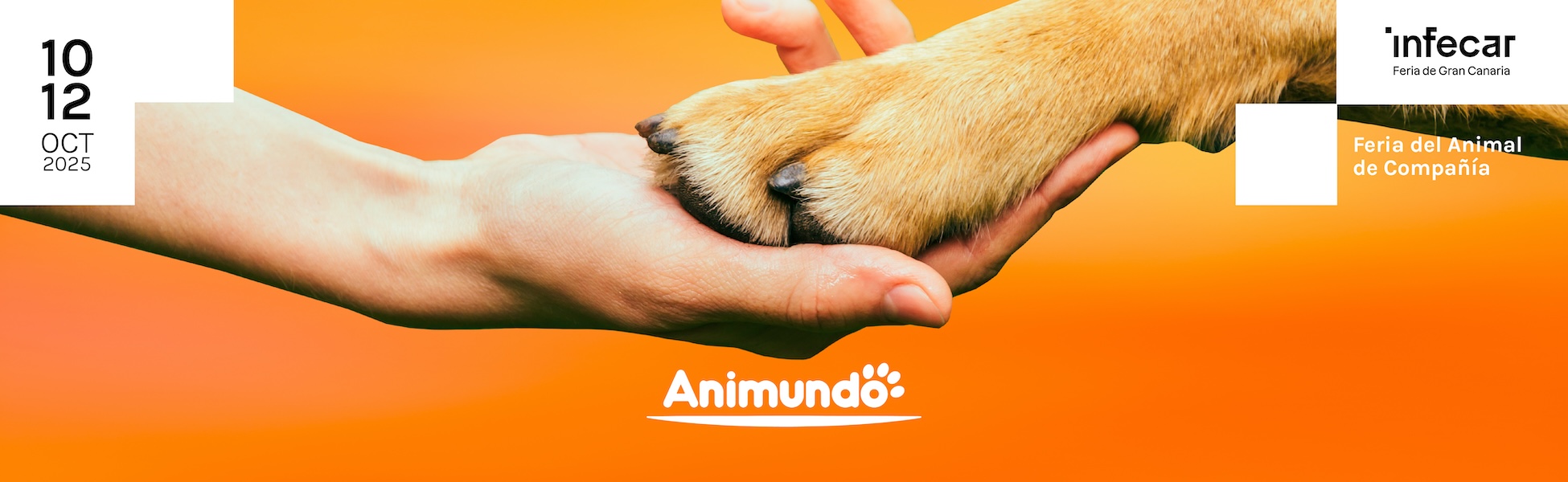 BANNER ANIMUNDO