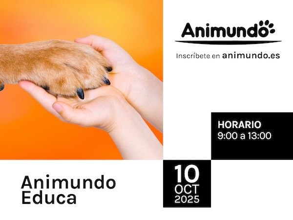 ANIMUNDO EDUCA.png ANIMUNDO EDUCA.png