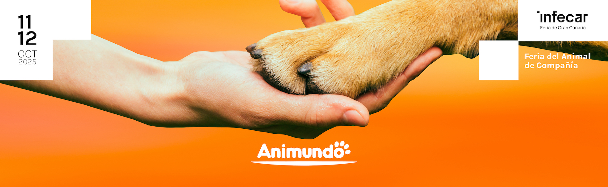 ANIMUNDO 2025