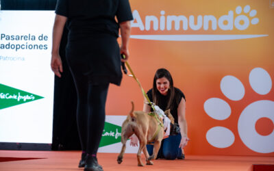 El amor y el respeto a los animales regresa a Infecar los días 11 y 12 de octubre de la mano de Animundo
