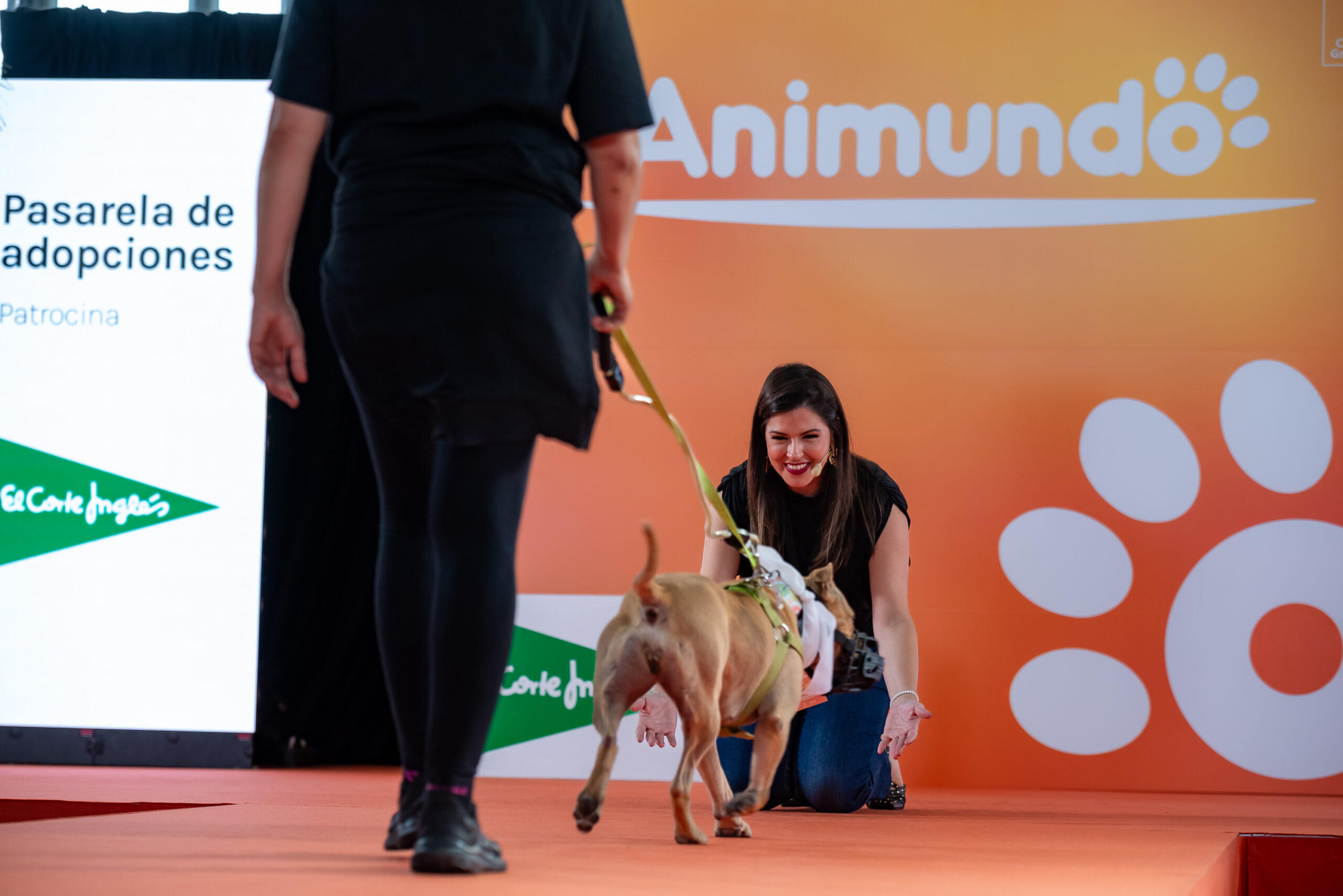 Pasarela de adopción Animundo-2024 Pasarelas de adopciones en Animundo