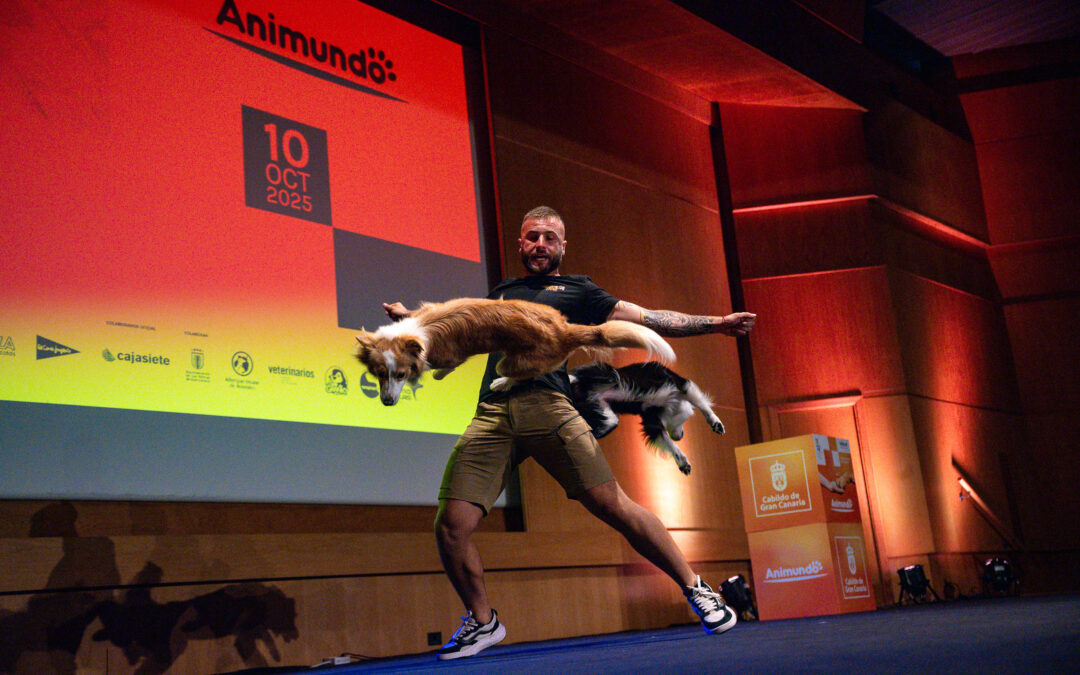 Cerca de 1.200 escolares de 20 centros educativos de la isla aprenden a cuidar los animales en Animundo Educa