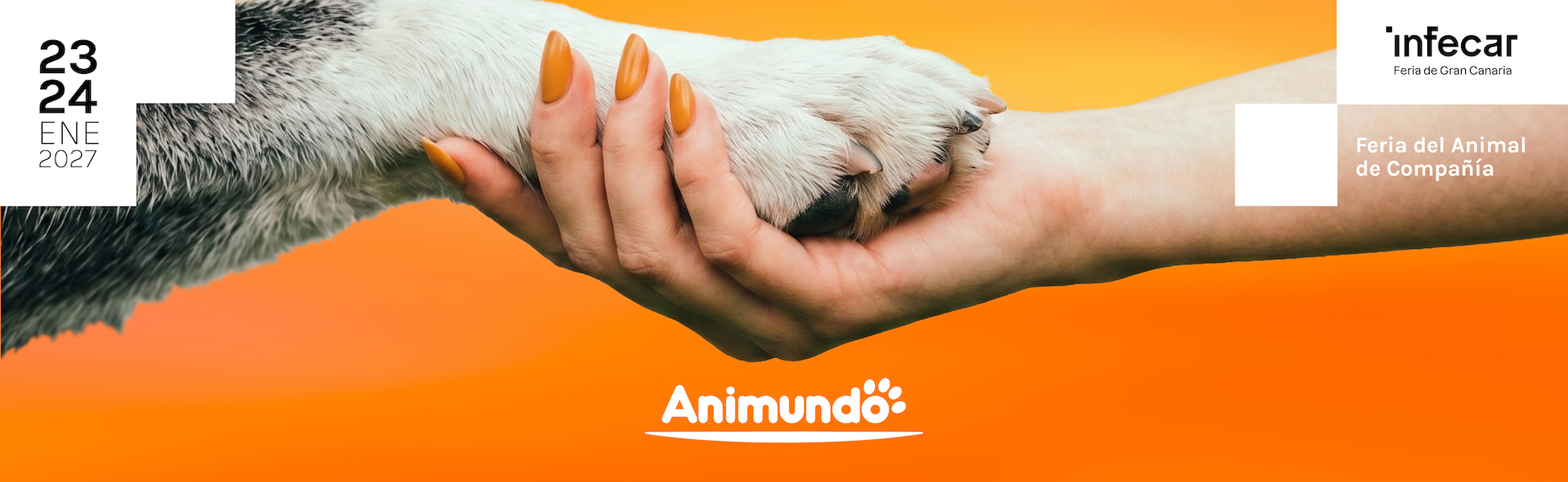 ANIMUNDO 2025